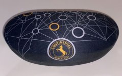 Sunglasses case