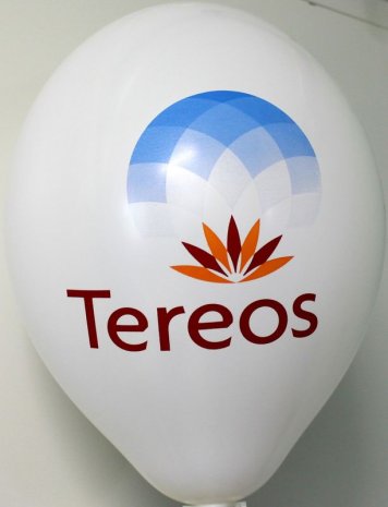 Printed Fabric ballons