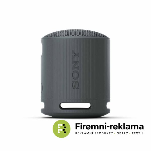 Sony Bluetooth Speaker SRS-XB100 black