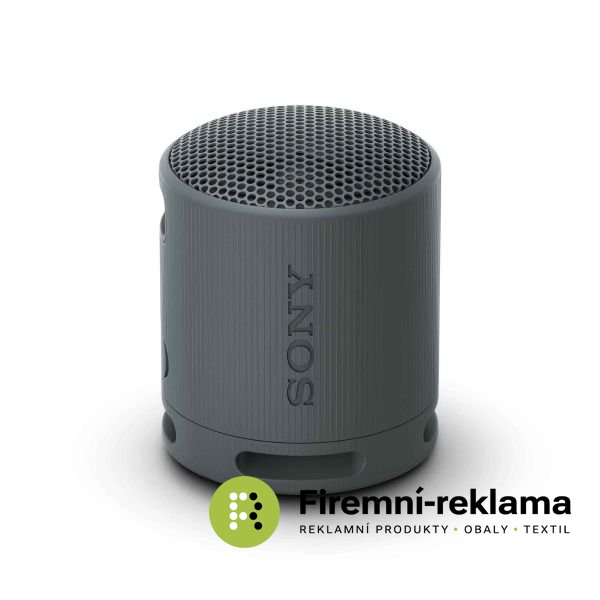 Sony Bluetooth Speaker SRS-XB100 black