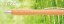 LESNA Bamboo / metal ballpoint pen