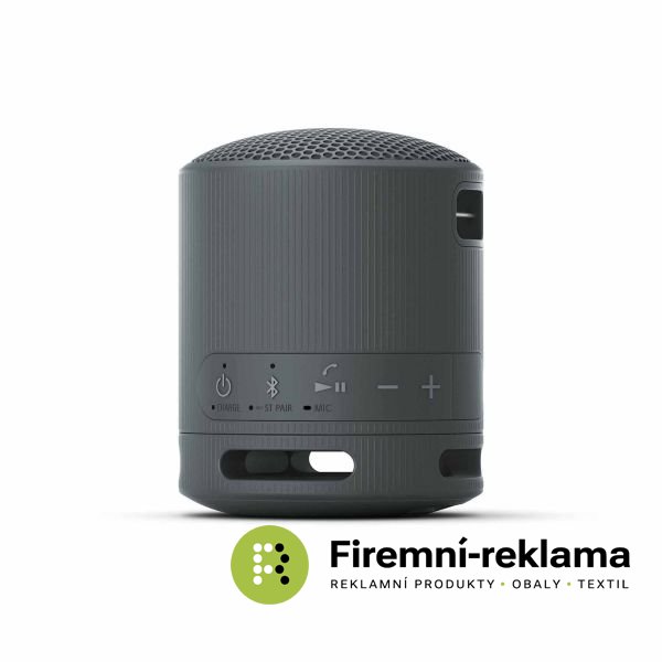 Sony Bluetooth Speaker SRS-XB100 black