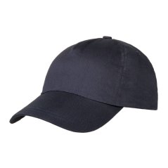 Cap 5 panels with advertising print
