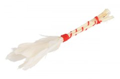 Štětec z husího peří