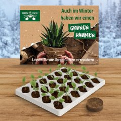 Growing advent calendar eco XL