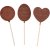 Chocolate lollipops