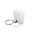 Tooth Keychain - Packaging: 1000pcs, Material: Acrylic, standard ring