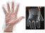 Disposable PE gloves - Packaging: 100pcs