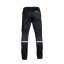 James Ross Pant  Harlem Man