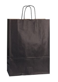 Paper bag ECO