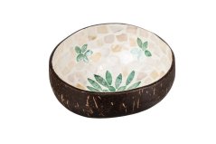 Coconut bowl with green leaf