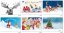 Classic wall Advent calendar – sample motifs