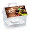 Transparent money box Sweet Home with custom print on the roof
