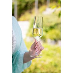 Promotional acrylic champagne flute